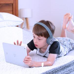 What is Brain Defense?