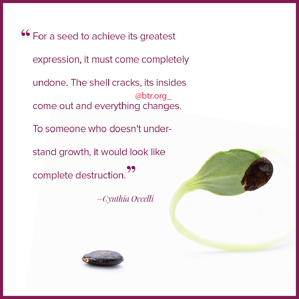 Transformation After Betrayal Trauma with Debi Silber, Ph.d. Doctor Debi Silber and Healing After Trauma From Husband's Betrayal